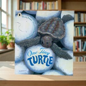One Tiny Turtle_Nicola Davies_KWB78551
