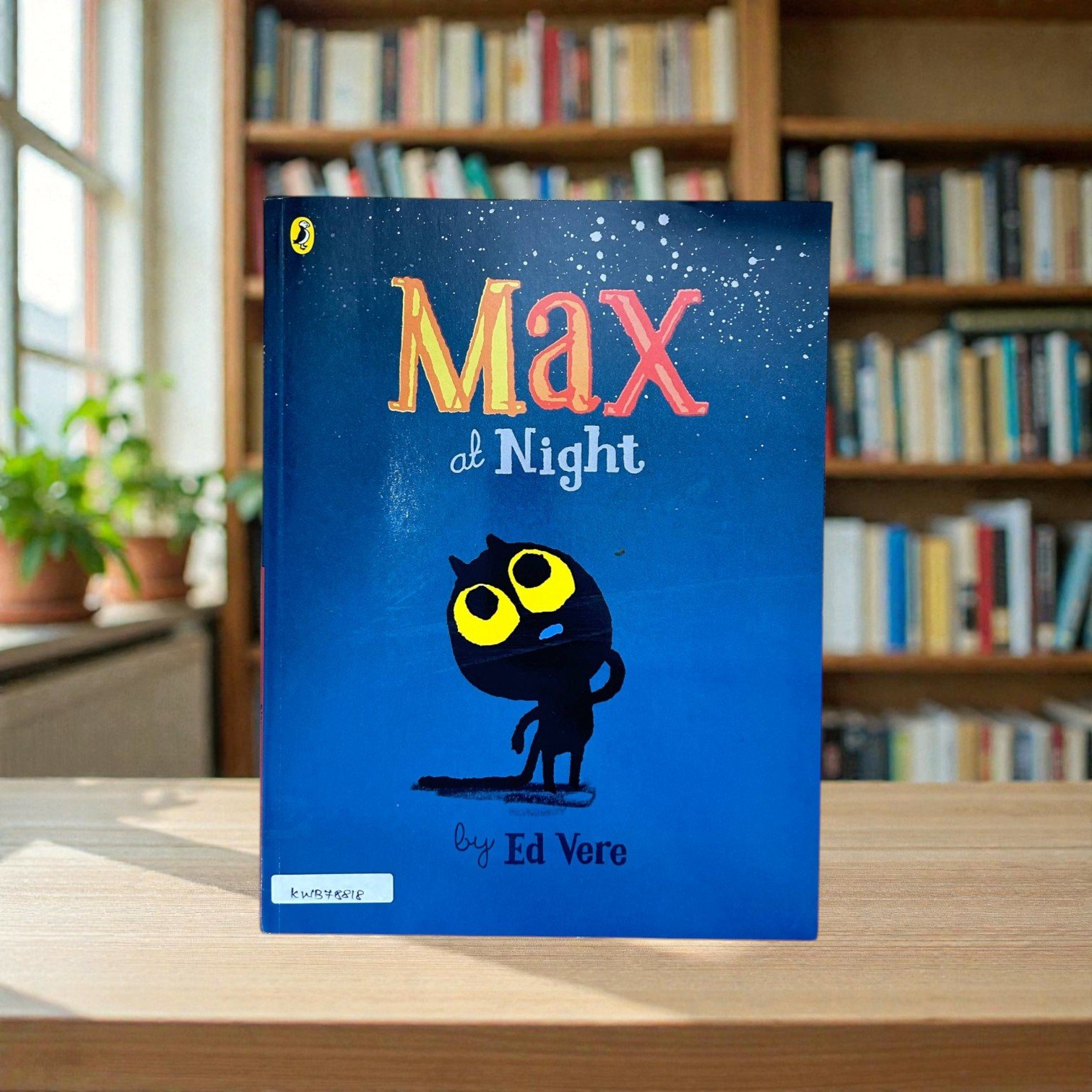 Max At Night_Ed Vere_KWB78818