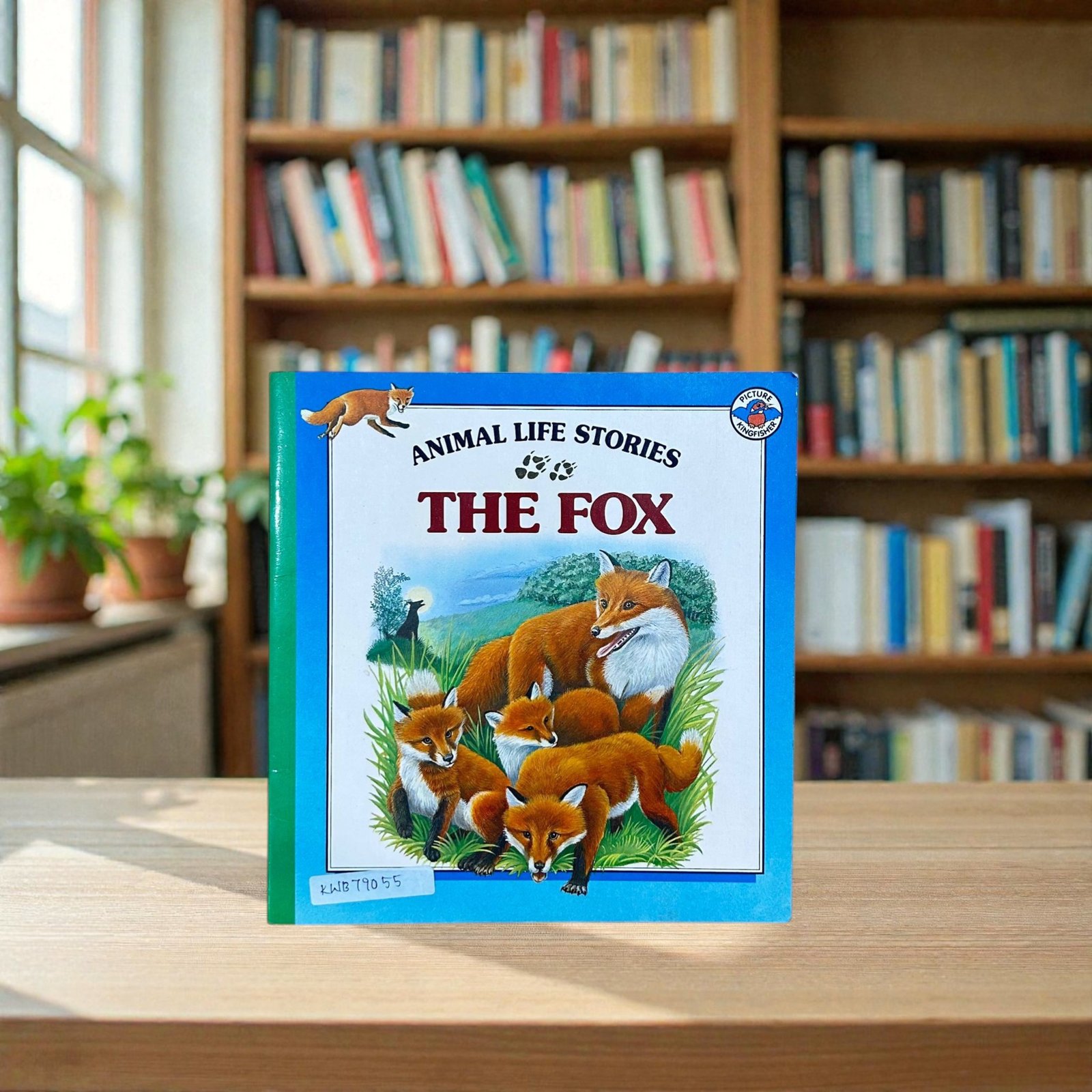 The Fox_Animal Life Stories_Kingfisher_KWB79055