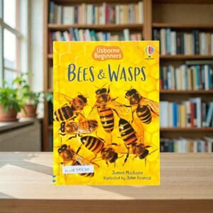 Bees & Wasps_Usborne_KWB79530
