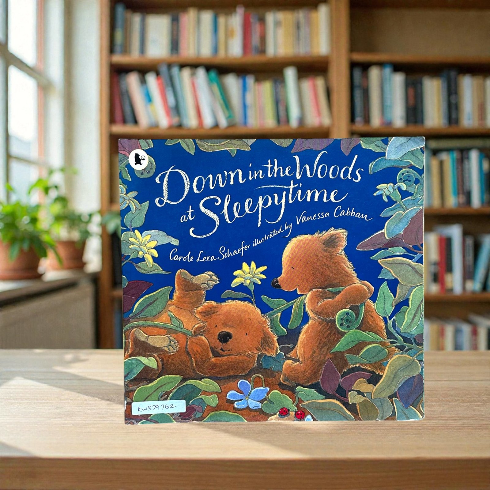 Down In The Woods At Sleepytime_Walker_KWB79762_Theory