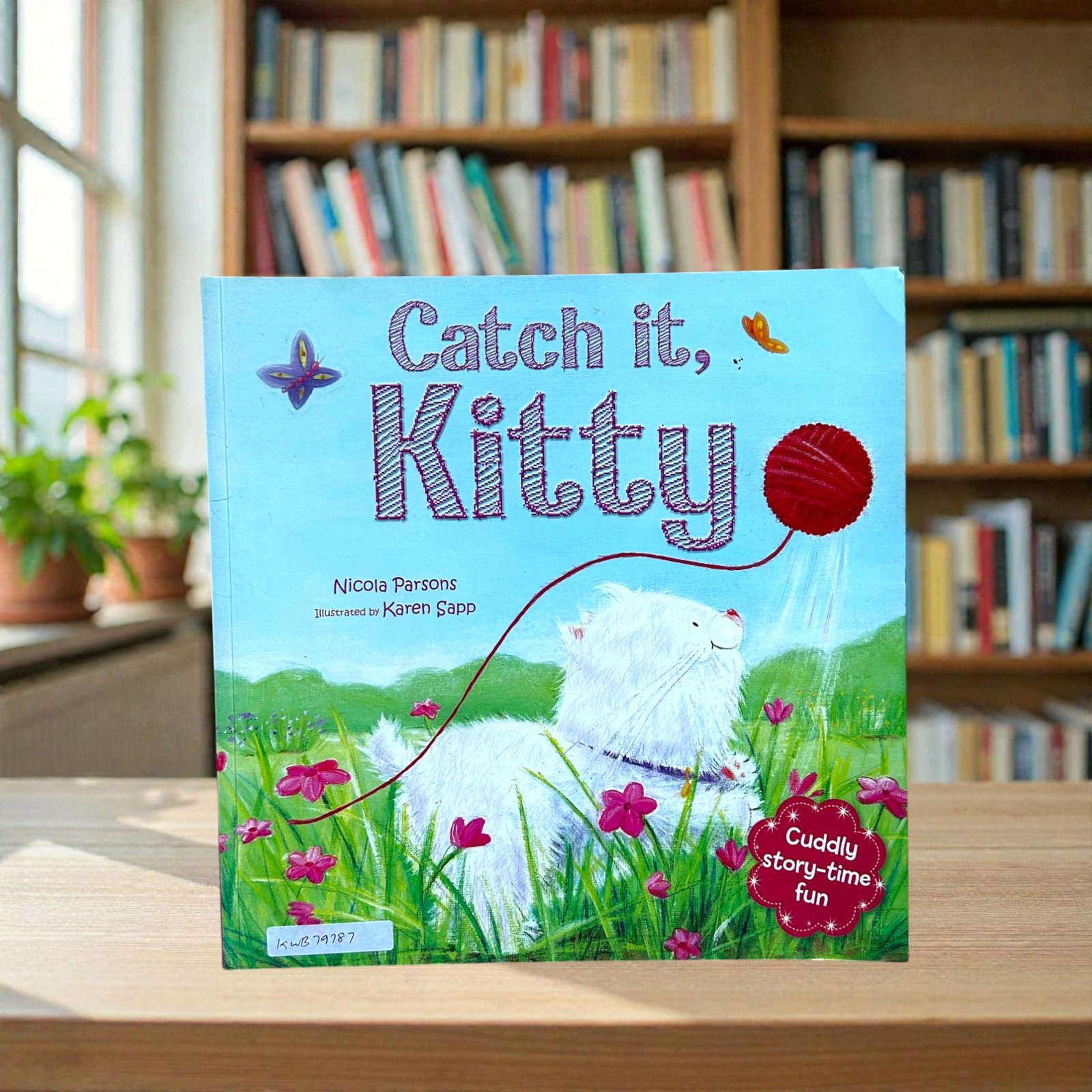 Catch It, Kitty_Cuddly Story-Time Fun _Nicola Parsons_KWB79787