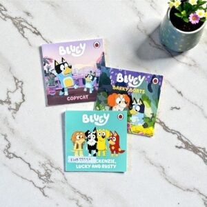 Pocket Friendly_Bluey_Set Of 3 Books_Ladybird_KWB79952