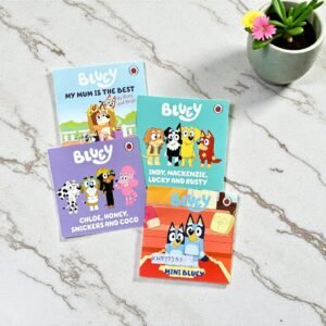 Pocket Friendly_Bluey_Set Of 4 Books_Ladybird_KWB79953