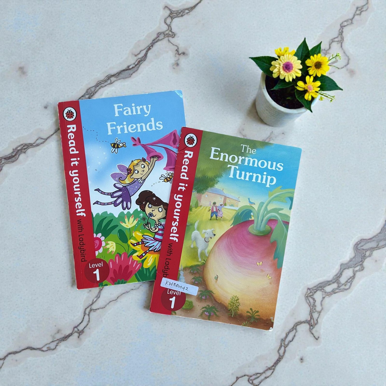 Read It Yourself_Set Of 2 Books_Ladybird_KWB80042