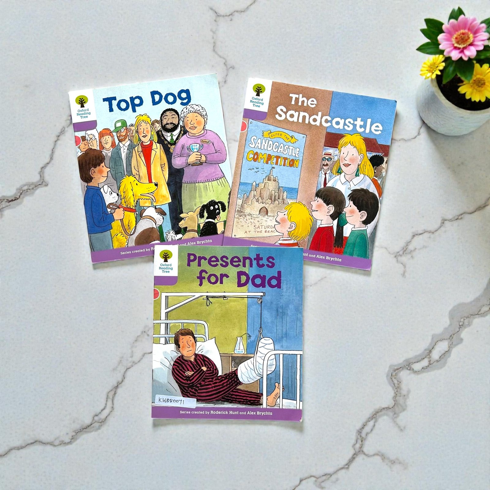 Oxford Reading Tree_Set Of 3 Books_Roderick Hunt_KWB80071