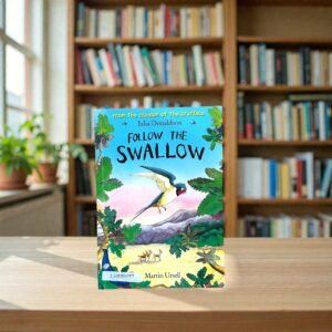 Follow The Swallow_Blue Bananas_Julia Donaldson_KWB80097