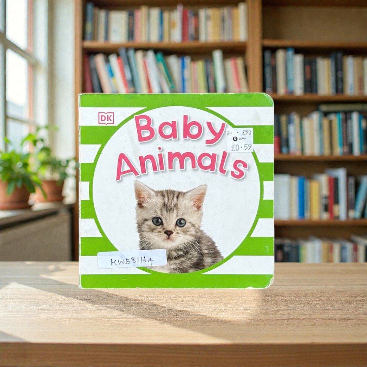 Baby Animals_Dawn Sirett_KWB81164