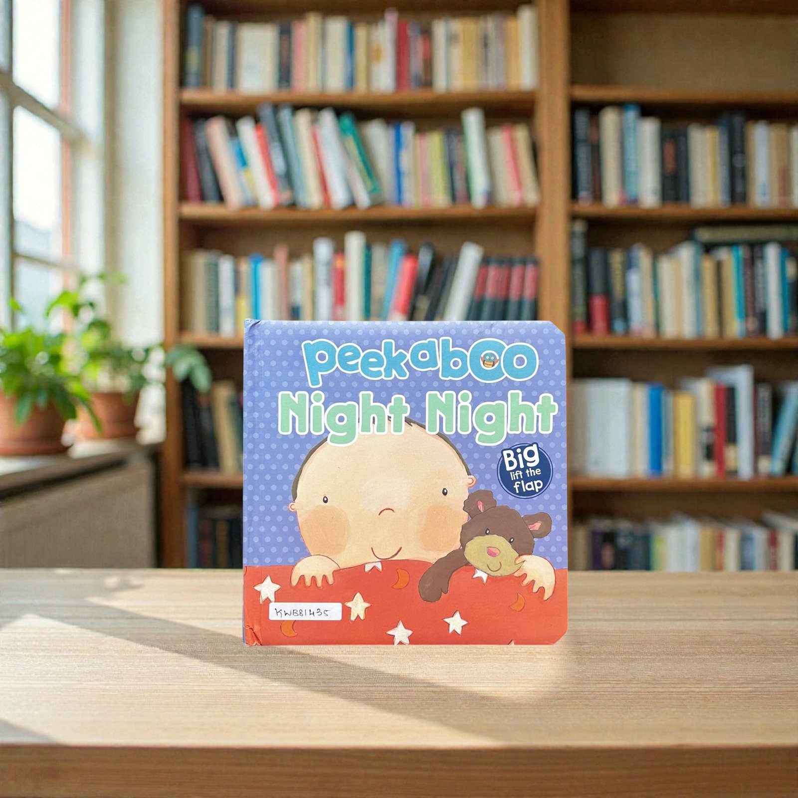 Peekaboo Night Night_Flap Book_Parragon_KWB81435