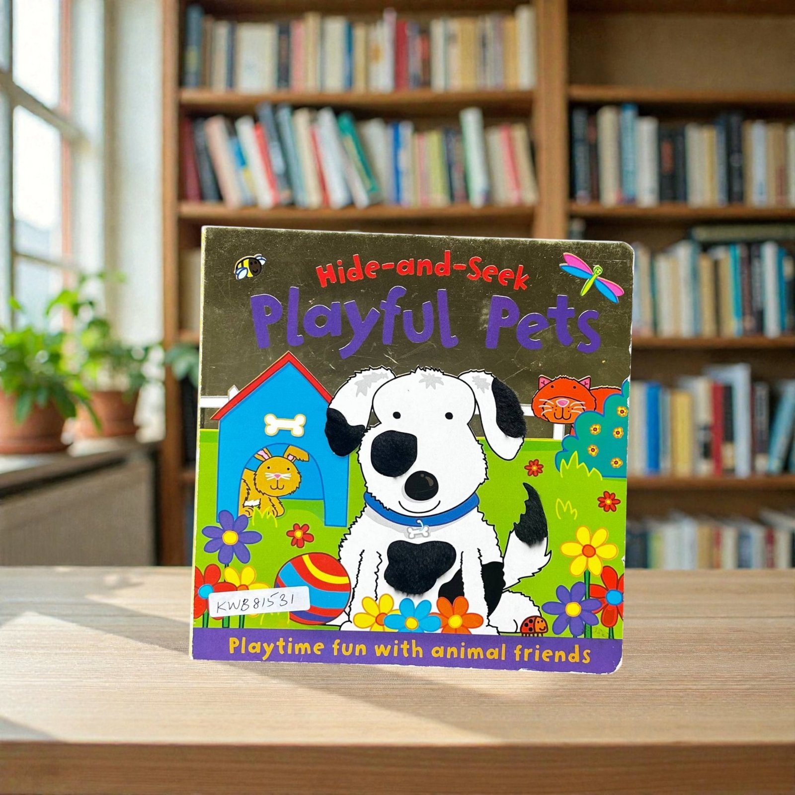 Playful Pets_Hide And Seek_Igloo Books_KWB81531