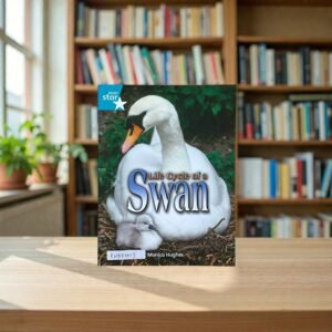 Life Cycle Of A Swan_Monica Hughes_KWB82023