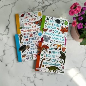 My First Book_Set Of 4 Books_Zoe Ingram_KWB82093