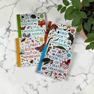 My First Book_Set Of 4 Books_Zoe Ingram_KWB82094