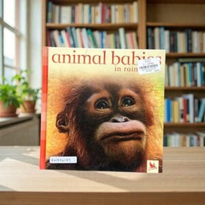 Animal Babies In Rainforests__KWB82249