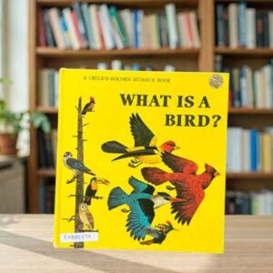 What Is A Bird?_Jenifer W. Day_KWB82270