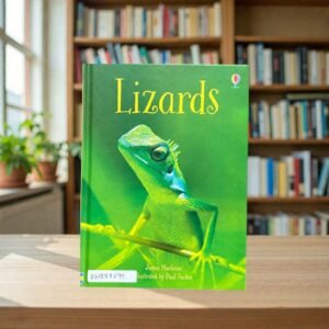 Lizards_James Maclaine_KWB82299
