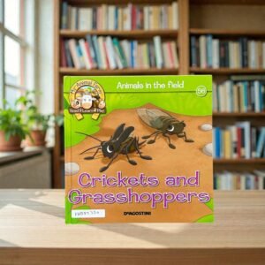Crickets And Grasshoppers_Animals In The Field_Deagostini_KWB82330
