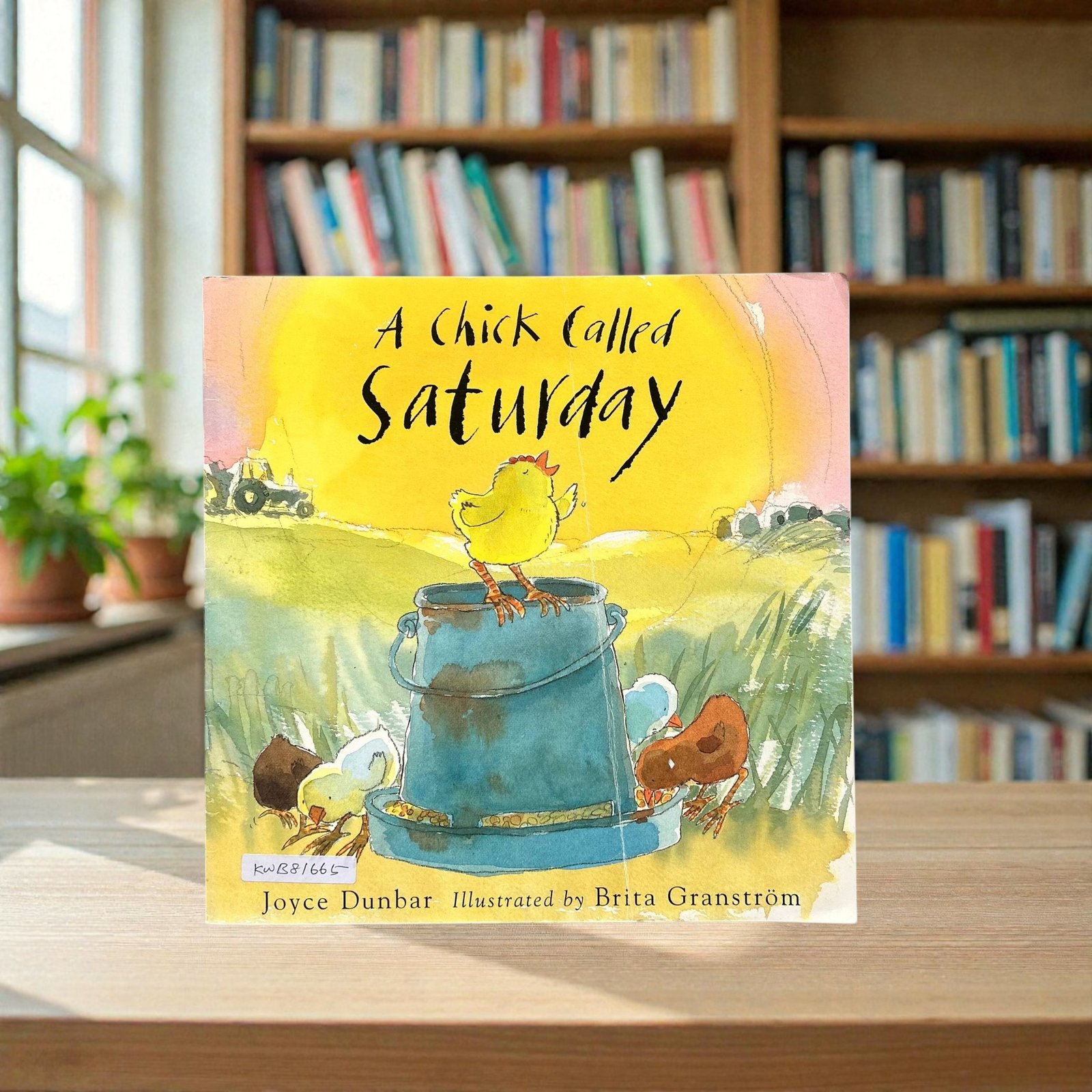 A Chick Called Saturday_Joyce Dunbar_KWB81665