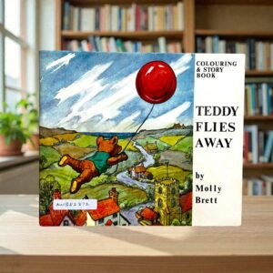 Teddy Flies Away_Molly Brett_KWB82872