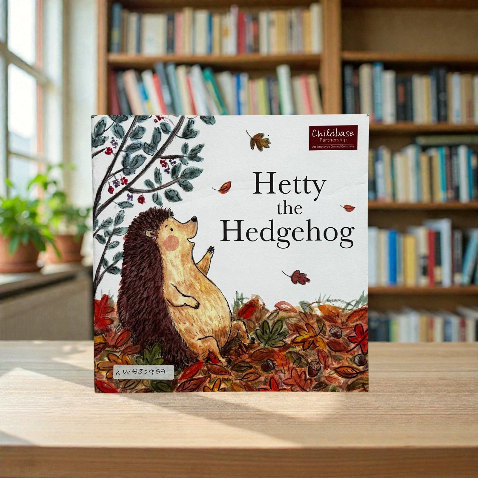 Hetty The Hedgehog_Katie Rose_KWB82959