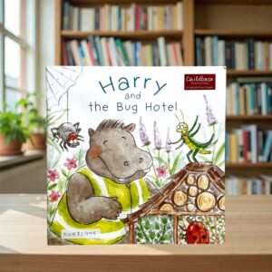 Harry And The Bug Hotel_Lauren Clarke_KWB82995