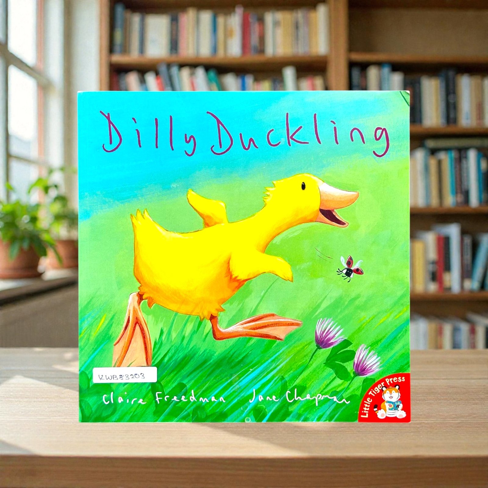 Dilly Duckling_Claire Freedman_KWB83203