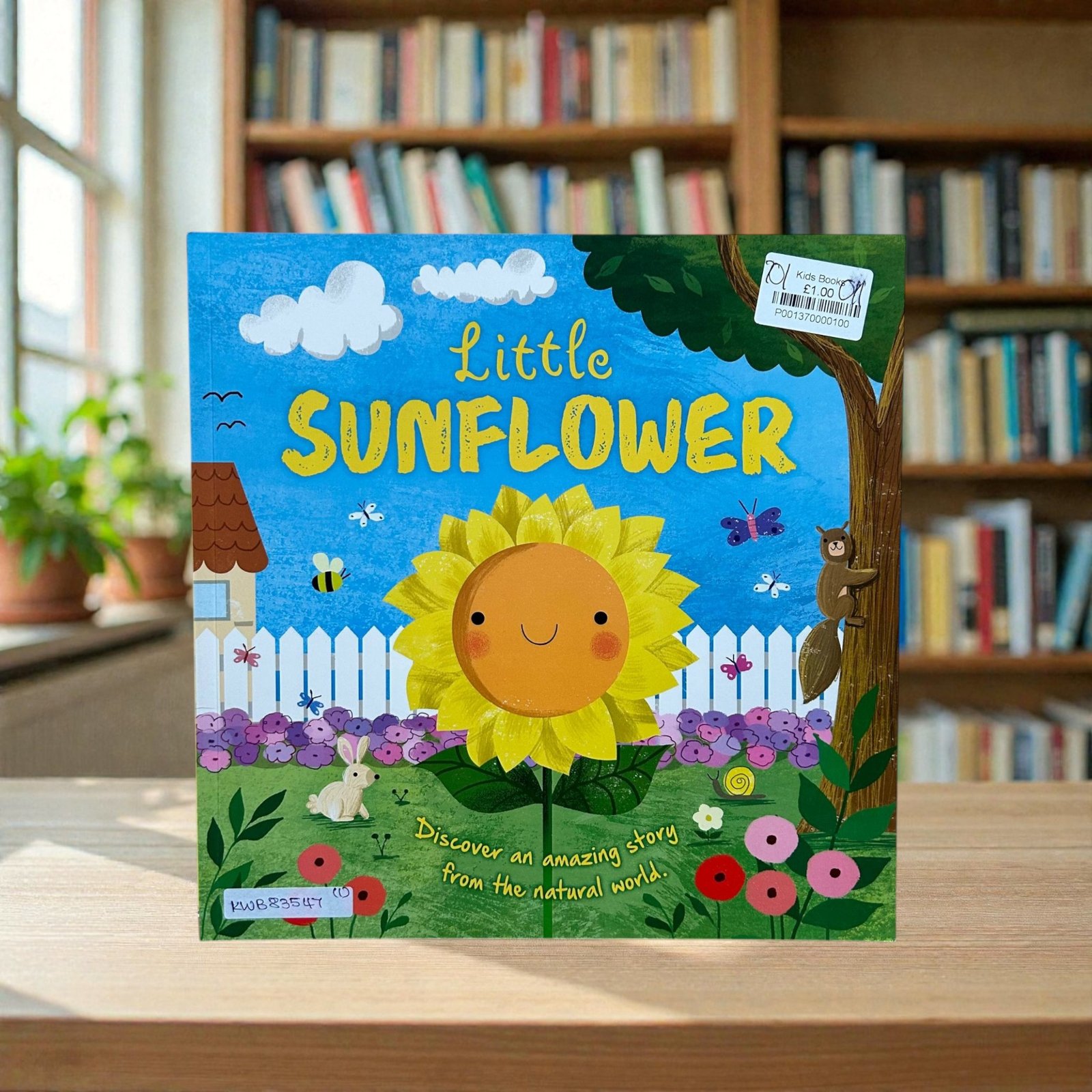 Little Sunflower_Suzanne Fossey_KWB83547