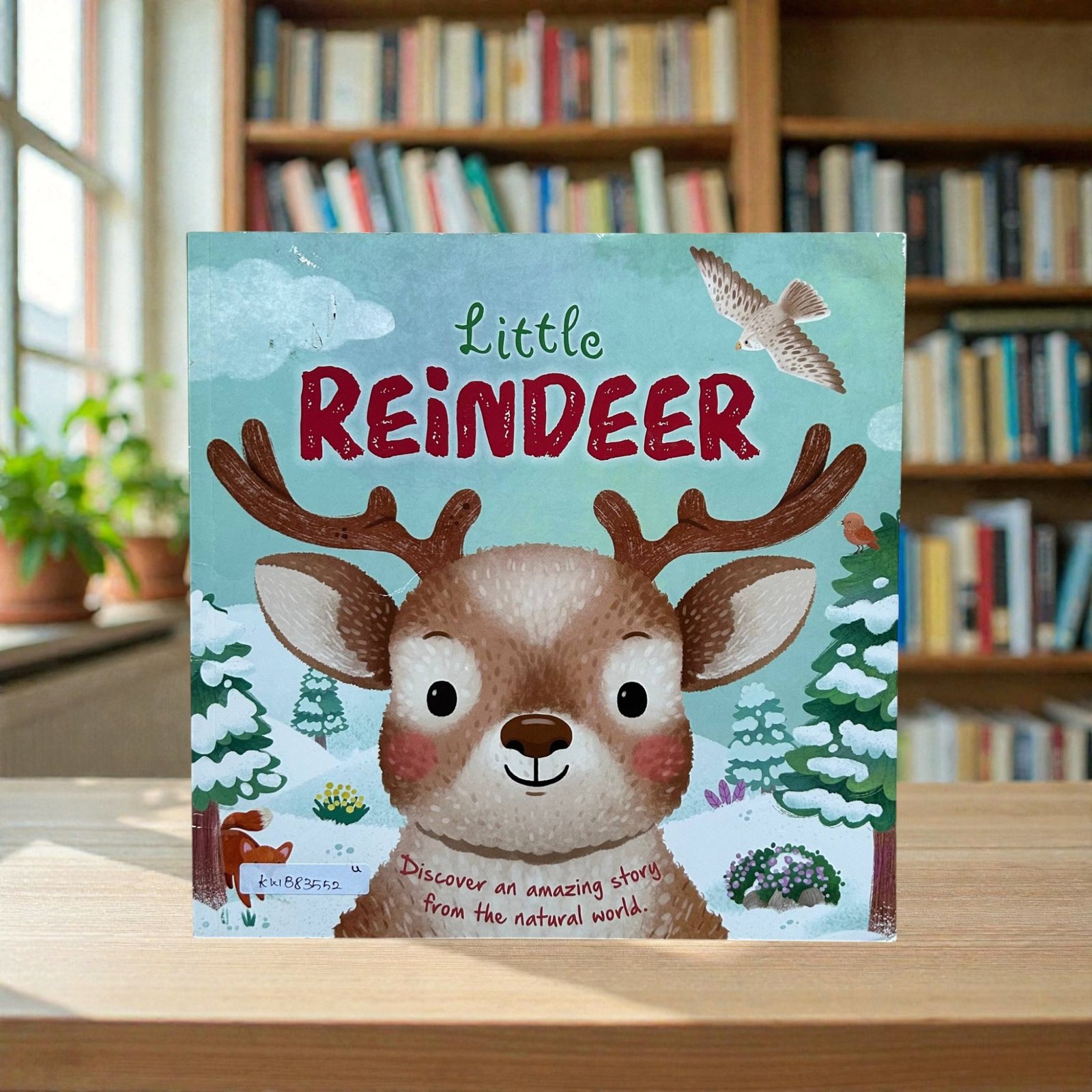 Little Reindeer_Used_Rose Harkness_KWB83552