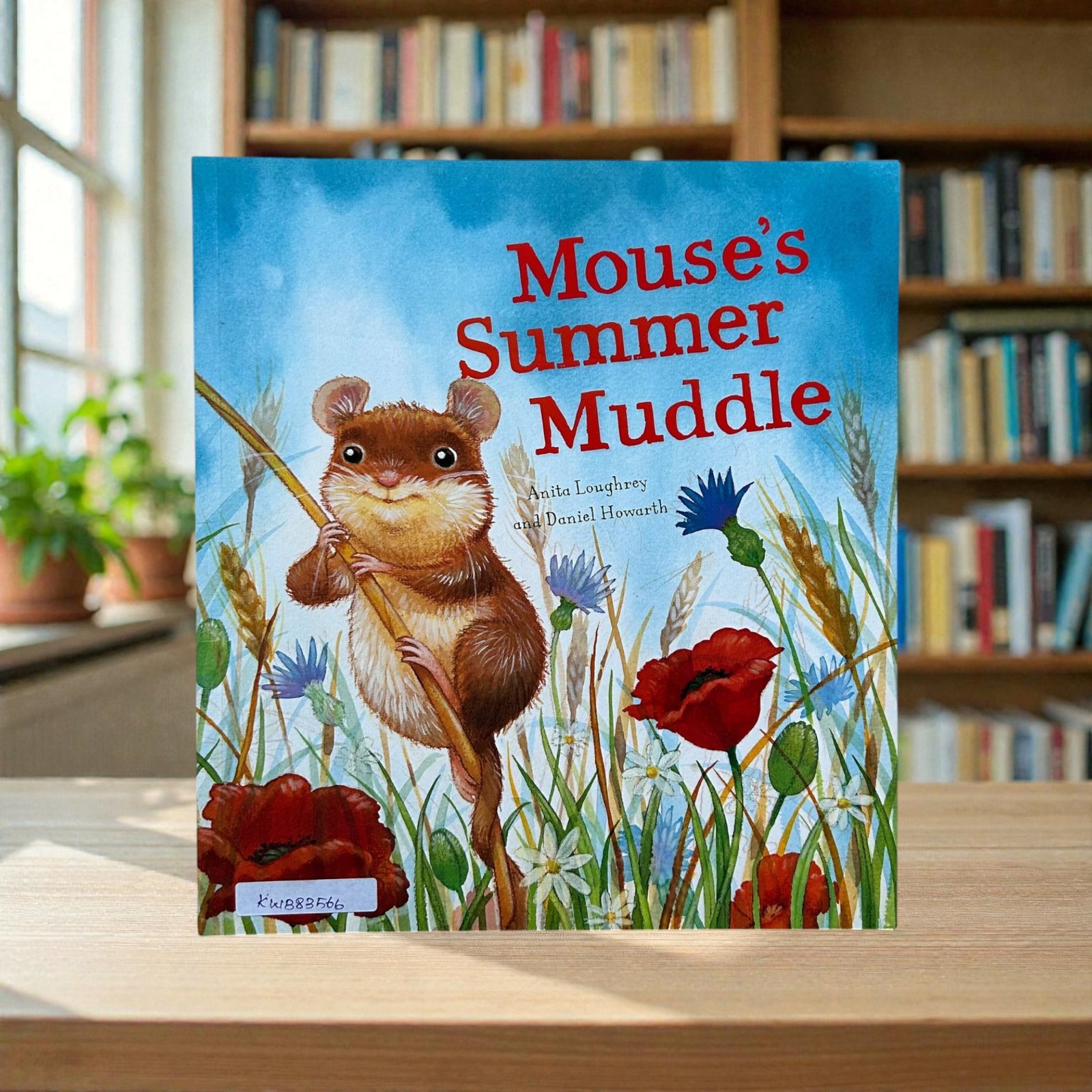 Mouse's Summer Muddle_Daniel Howarth_KWB83566