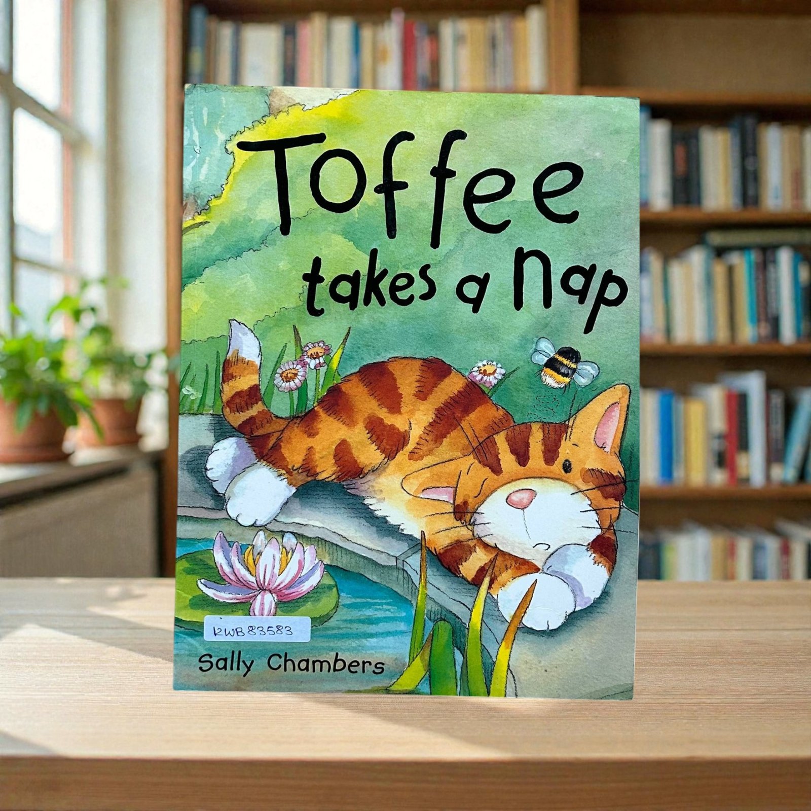 Toffee Takes A Nap_Sally Chambers_KWB83583