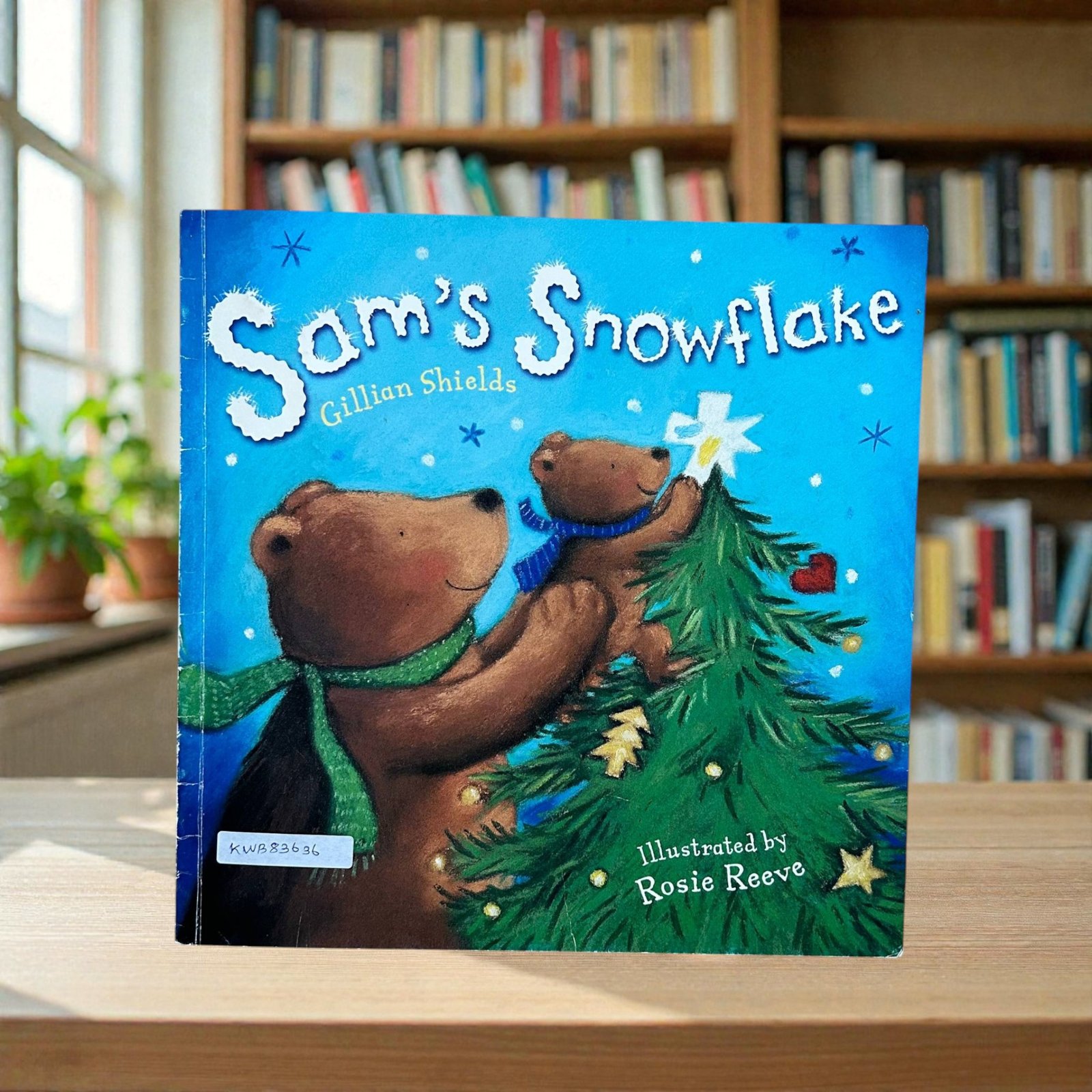 Sam's Snowflake_Gillian Shields_KWB83636