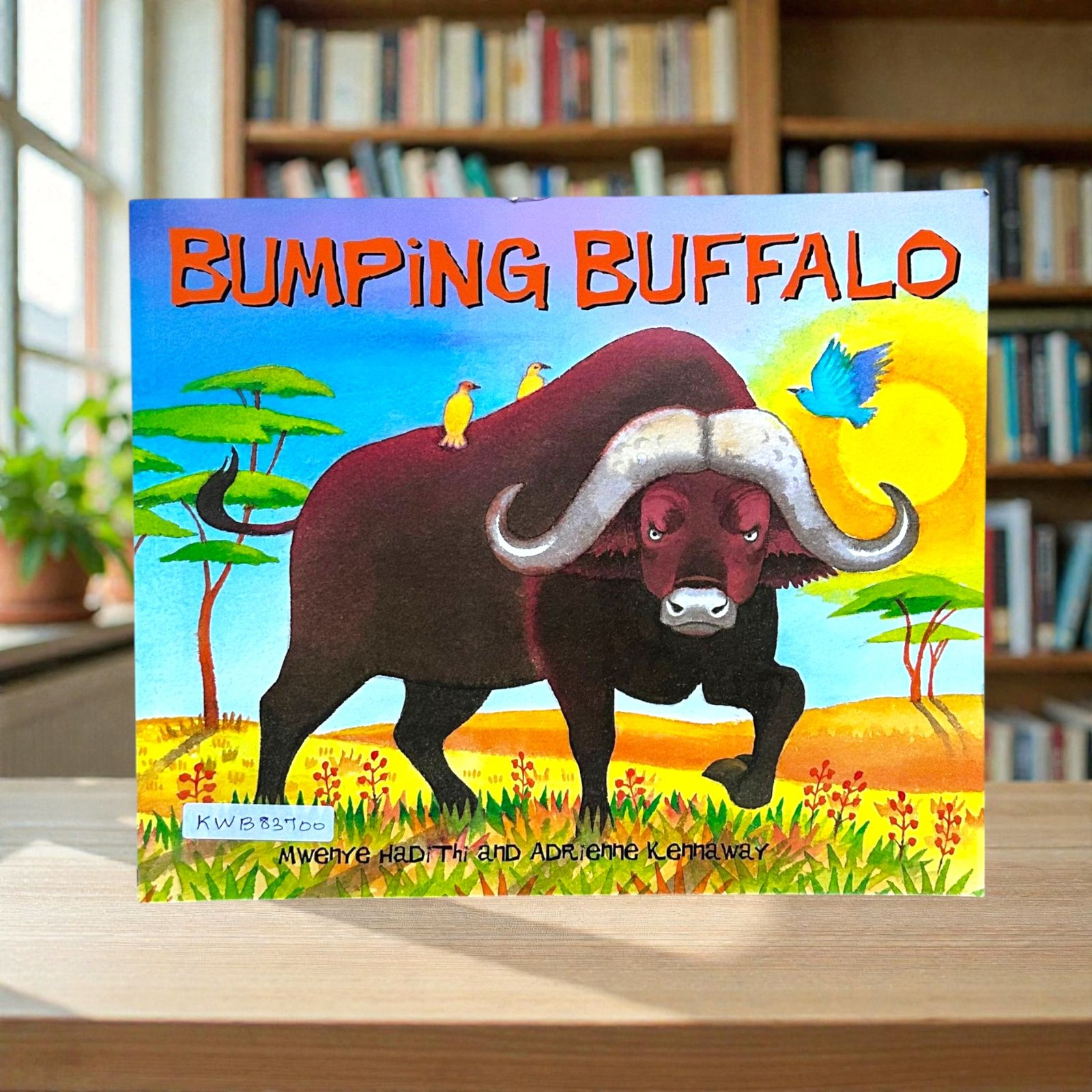 Bumping Buffalo_Adrienne Kennaway_KWB83700