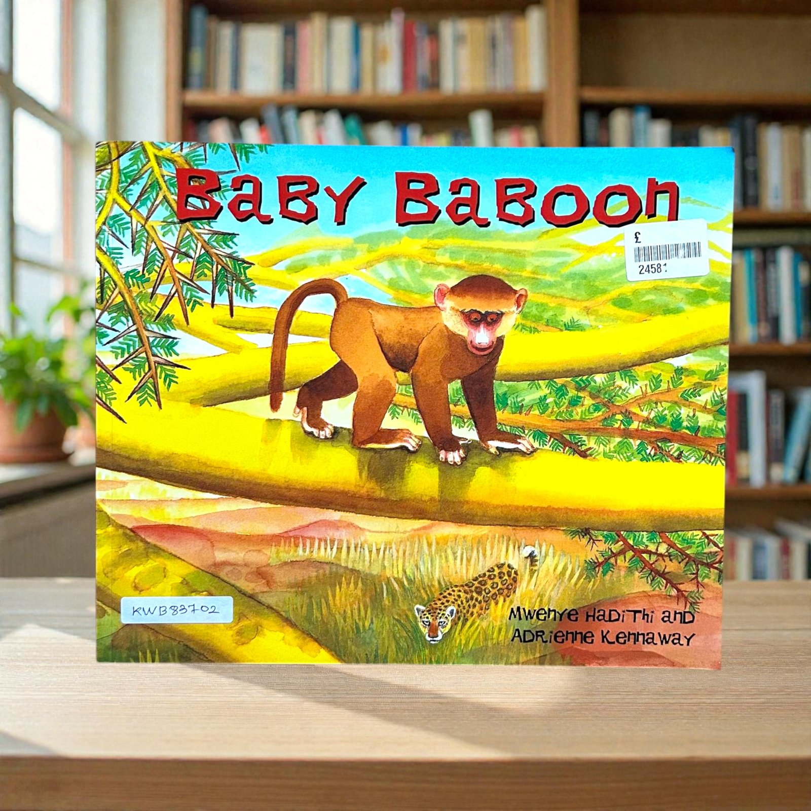 Baby Baboon_Adrienne Kennaway_KWB83702