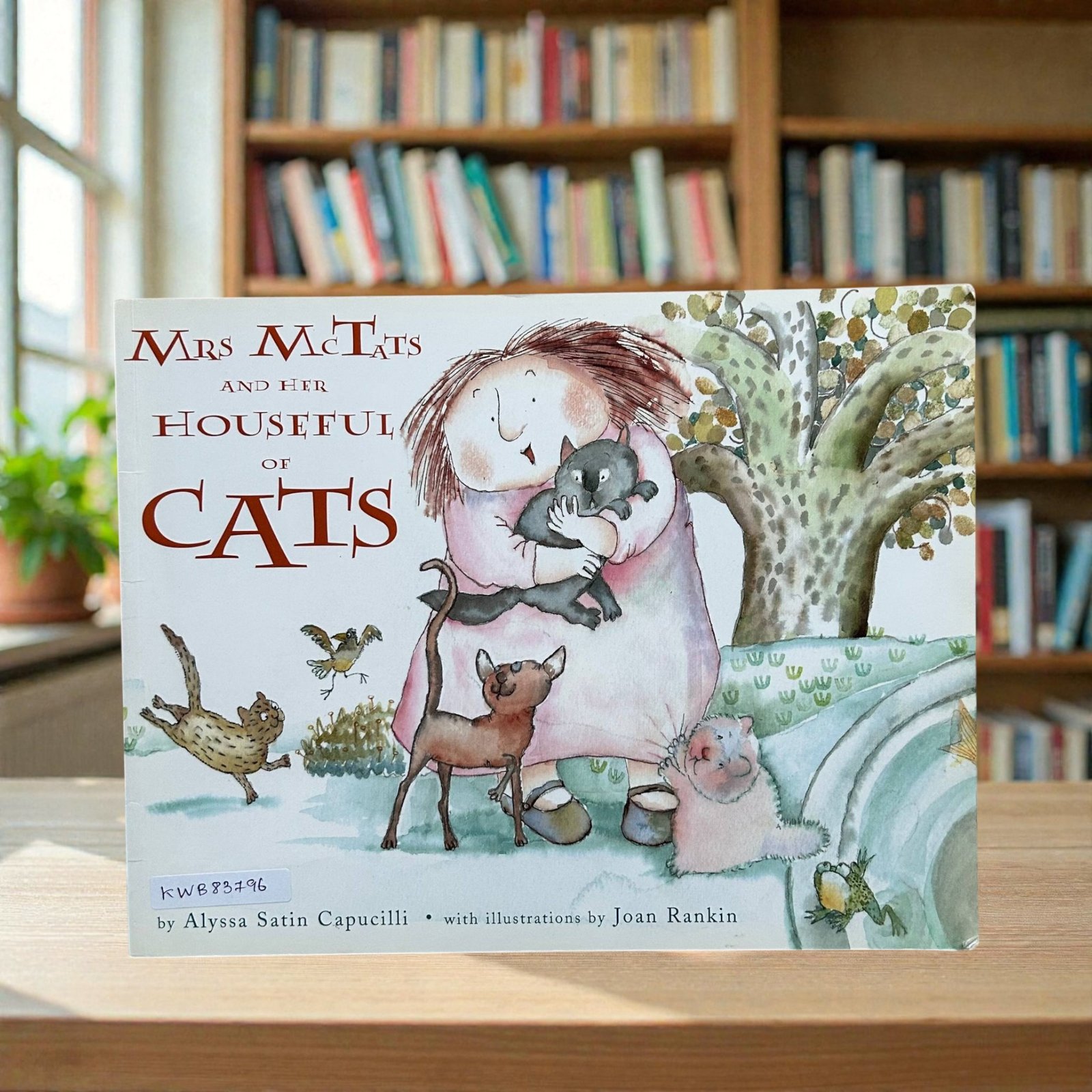 Mrs McTats And Her Houseful Of Cats_Joan Rankin_KWB83796
