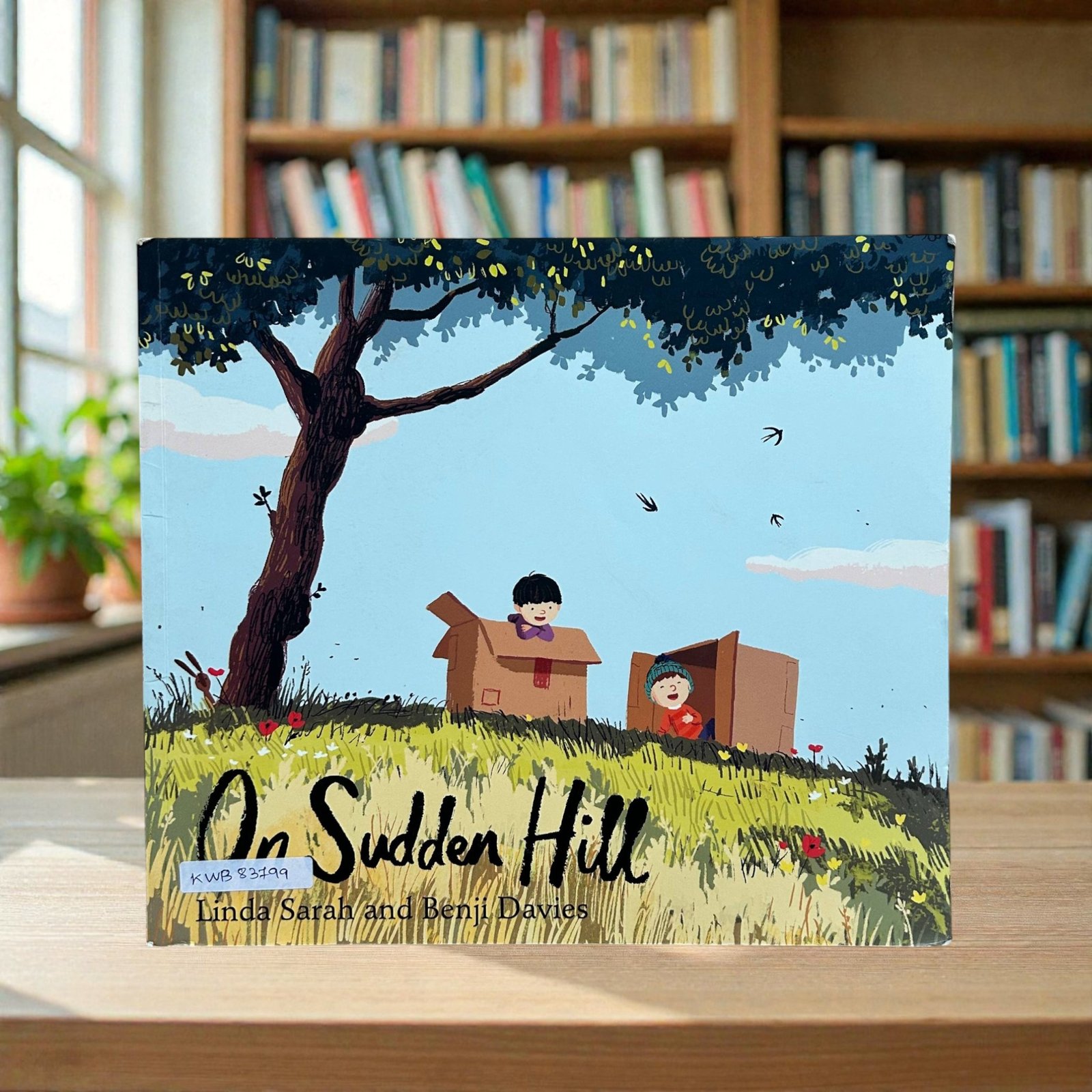 On Sudden Hill_Benji Davies_KWB83799