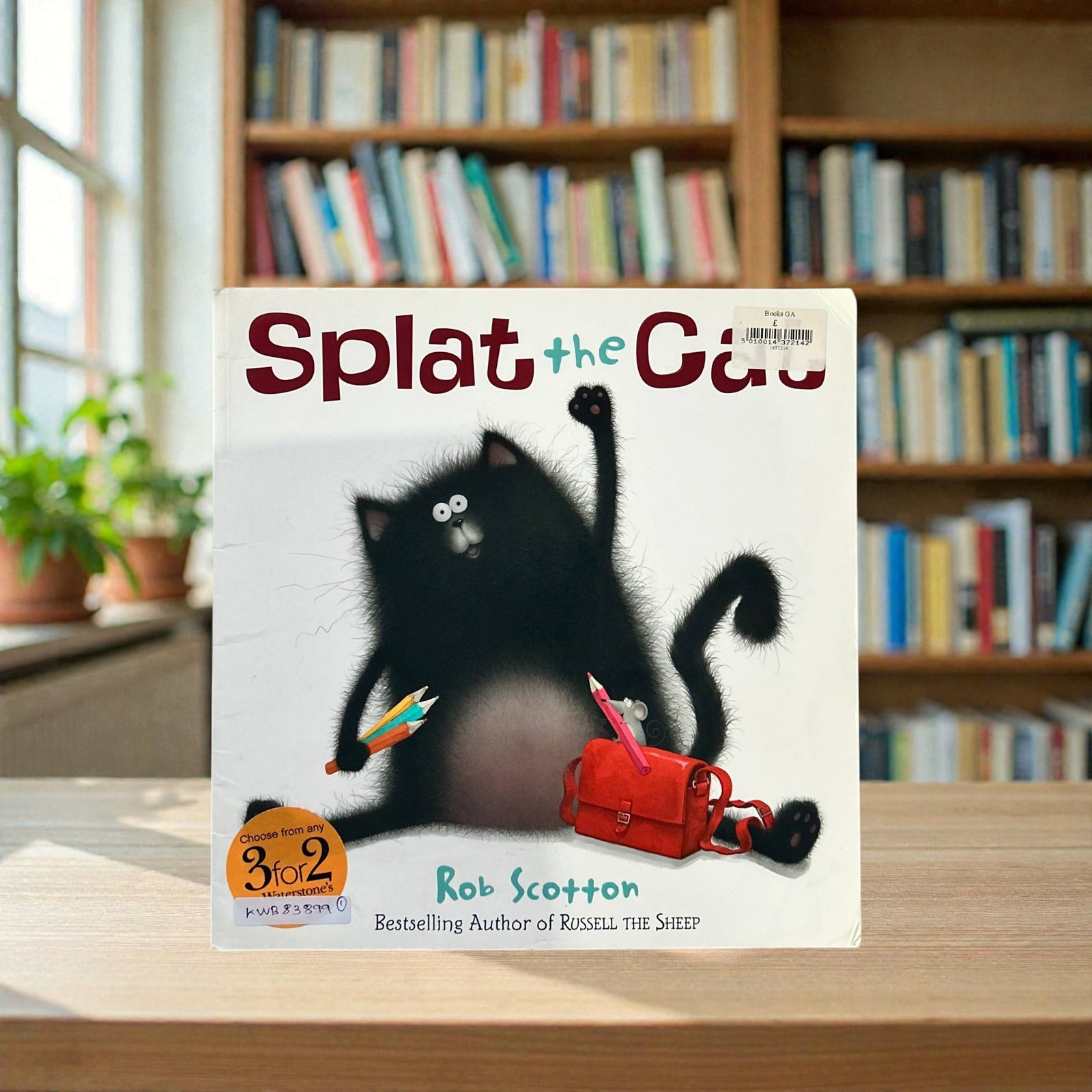 Splat The Cat_Rob Scotton_KWB83899