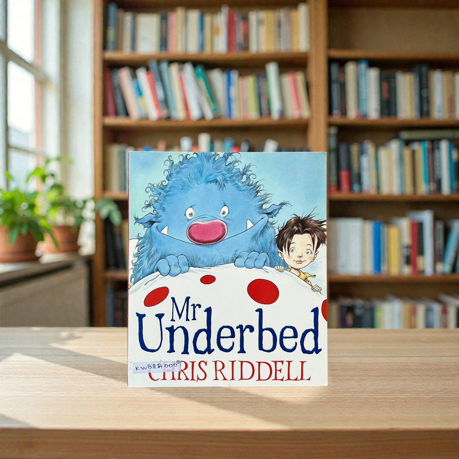 Mr Underbed_Chris Riddell_KWB84000