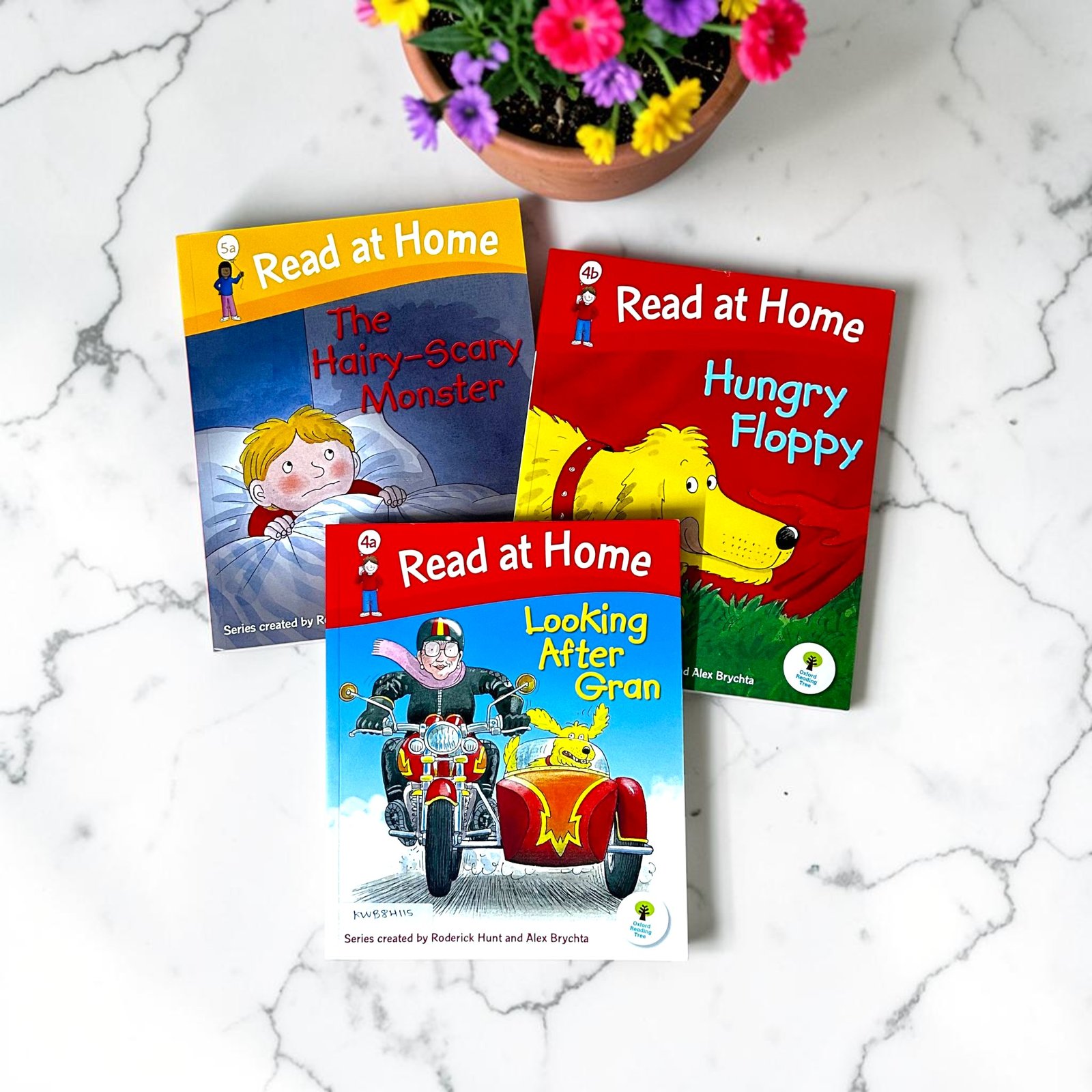 Read At Home_Set Of 3 Books_Roderick Hunt_KWB84115