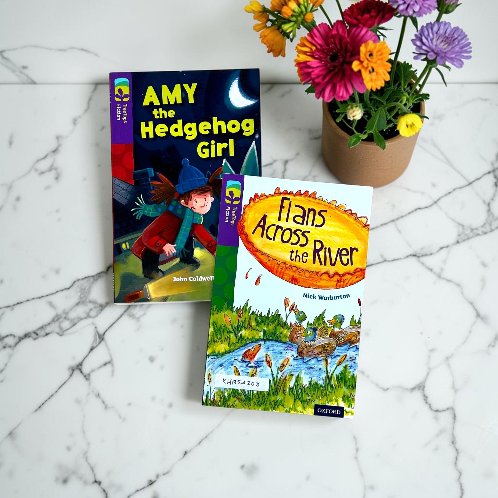 Treetops Fiction_Set Of 2 Books_Oxford_KWB84208