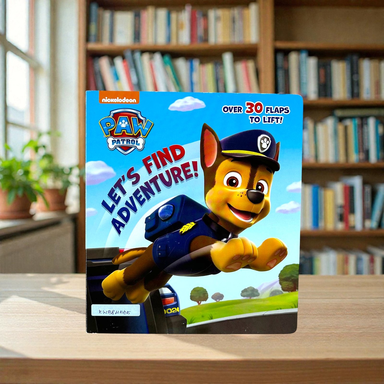 Let's Find Adventure_Paw Patrol_Flap Book_Nickelodeon_KWB84565