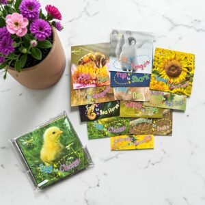 Life Cycles_Set Of 12/12 Books_Box Set_QED_KWB84704
