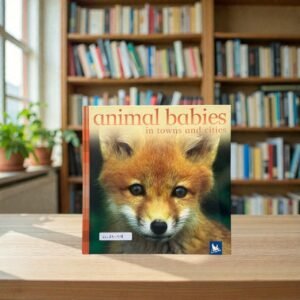 Animal Babies In The Town And Cities_Kingfisher_KWB84908