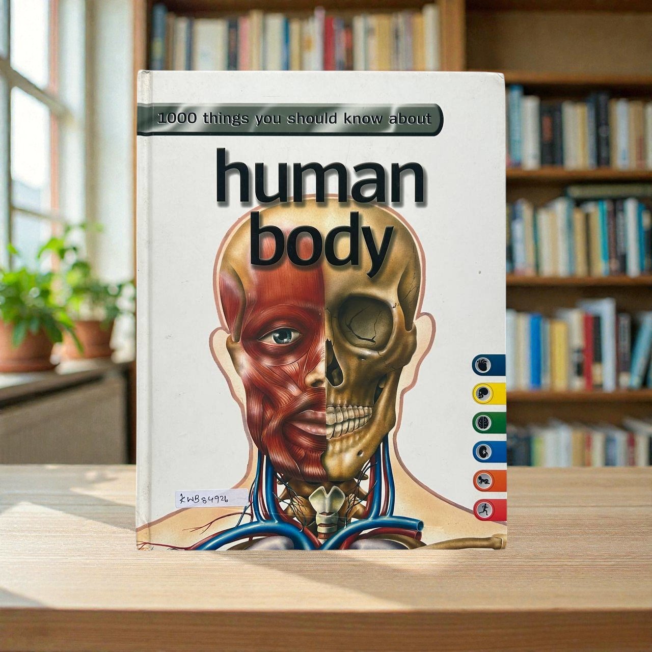 Human Body 1000 Things you should Know About_Grolifer_KWB84926