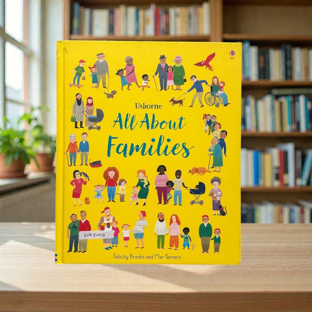All About Families_Usborne_KWB84933
