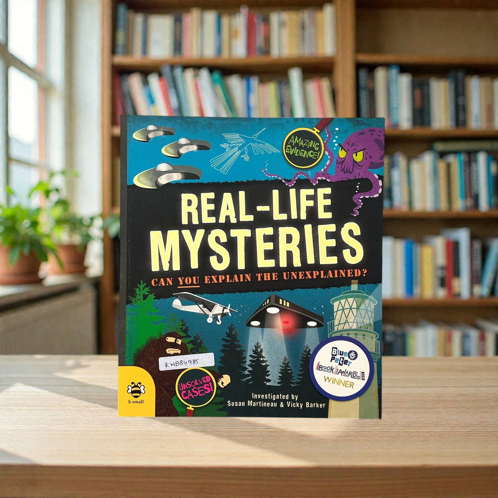 Real Life Mysteries_Can You Explain The Unexplained_B Small Publishing_KWB84985