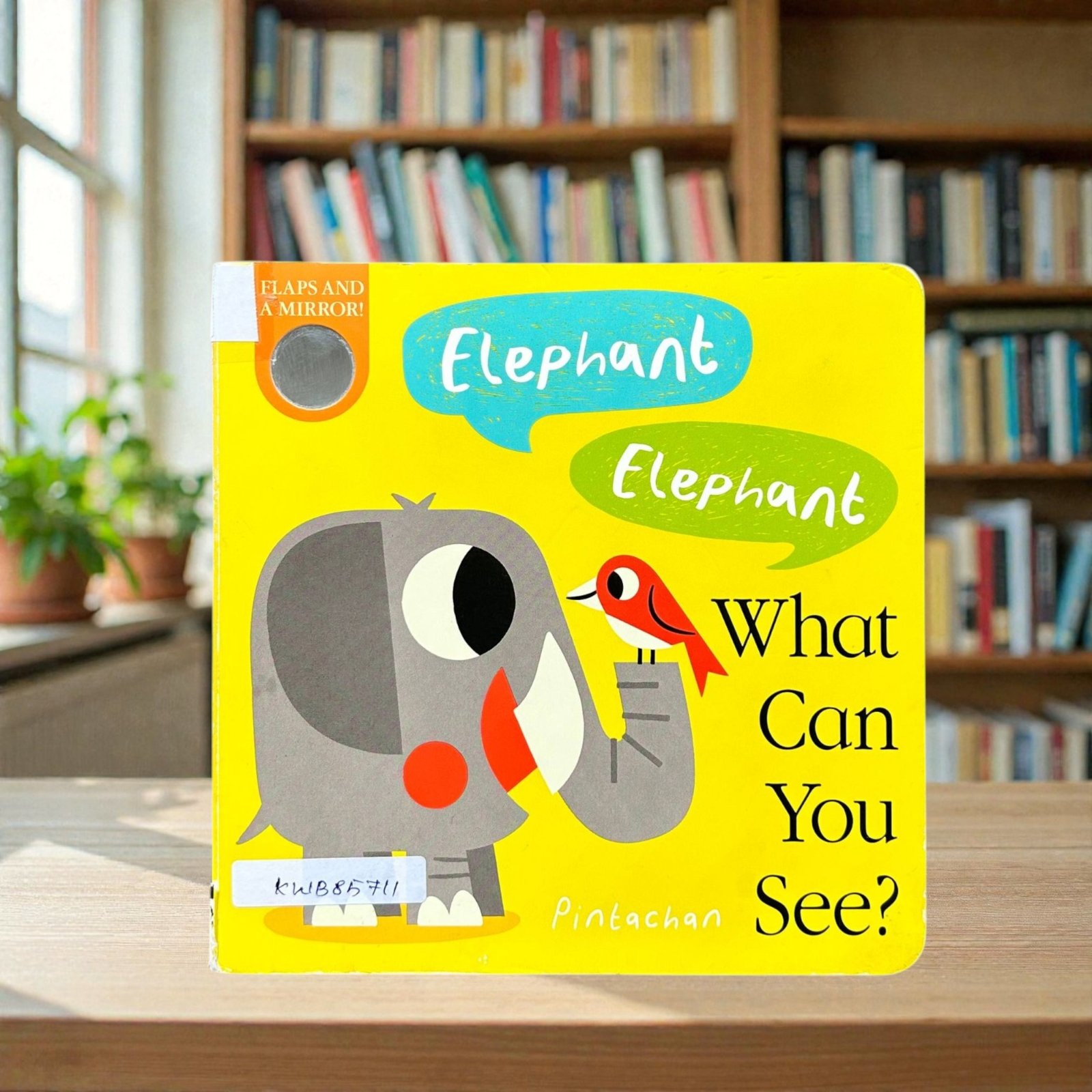 Elephant Elephant What Can You See_Flap Book With Mirror_Little Tiger_KWB85711