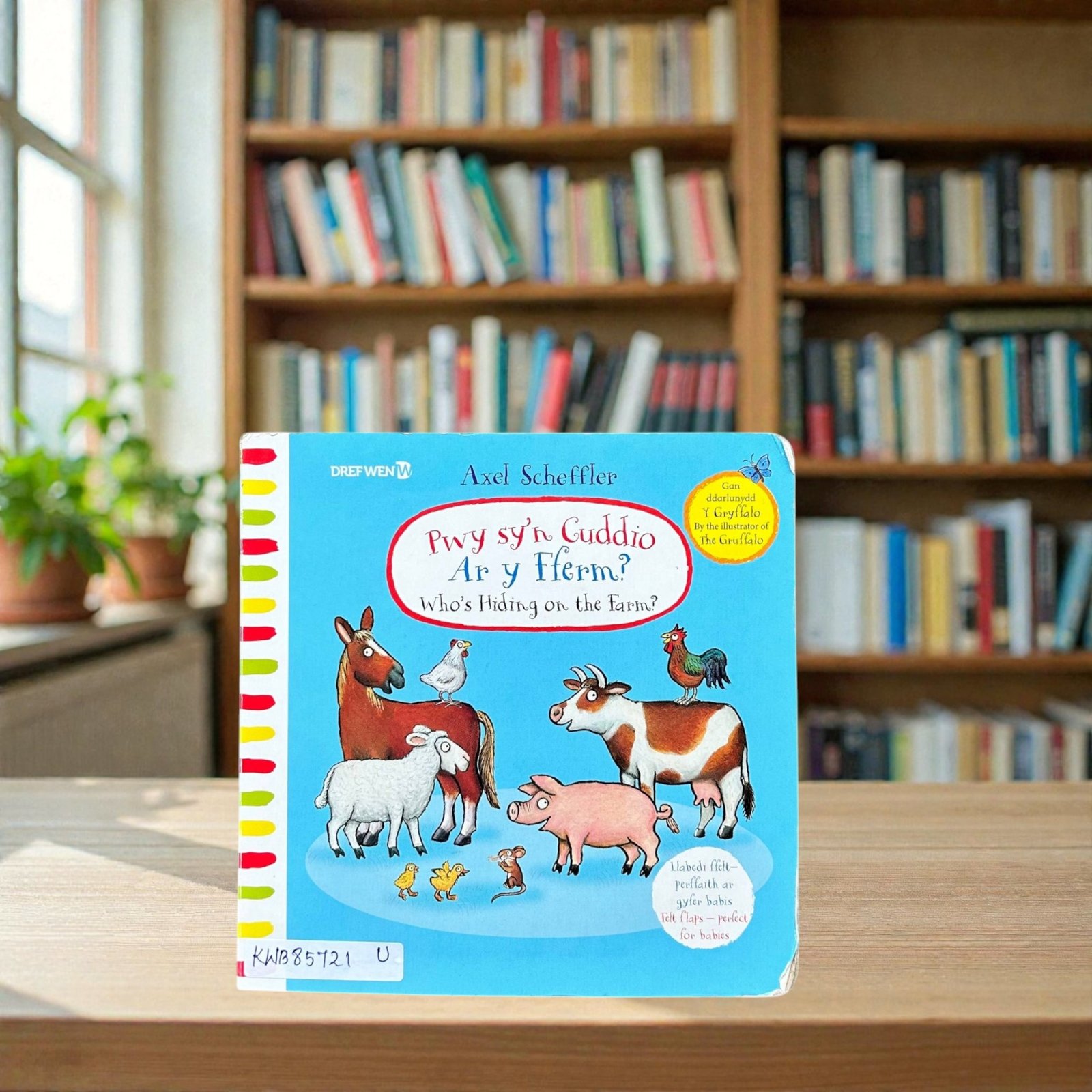 Pwy Sy'n Cuddio Ar Y Flerm_Felt Flap Book_Welsh_Used_Bookturst_KWB85721