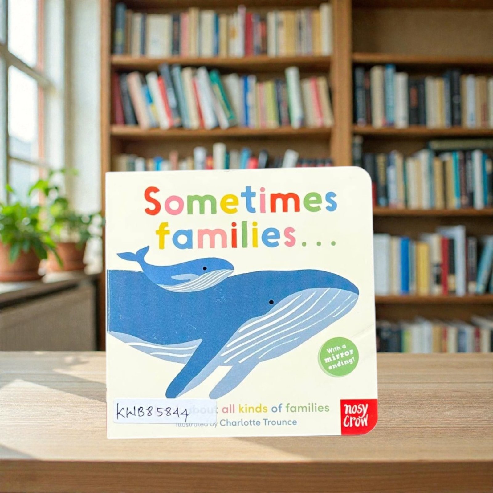 Sometimes Families_With Mirror_Nosy Crow_KWB85844
