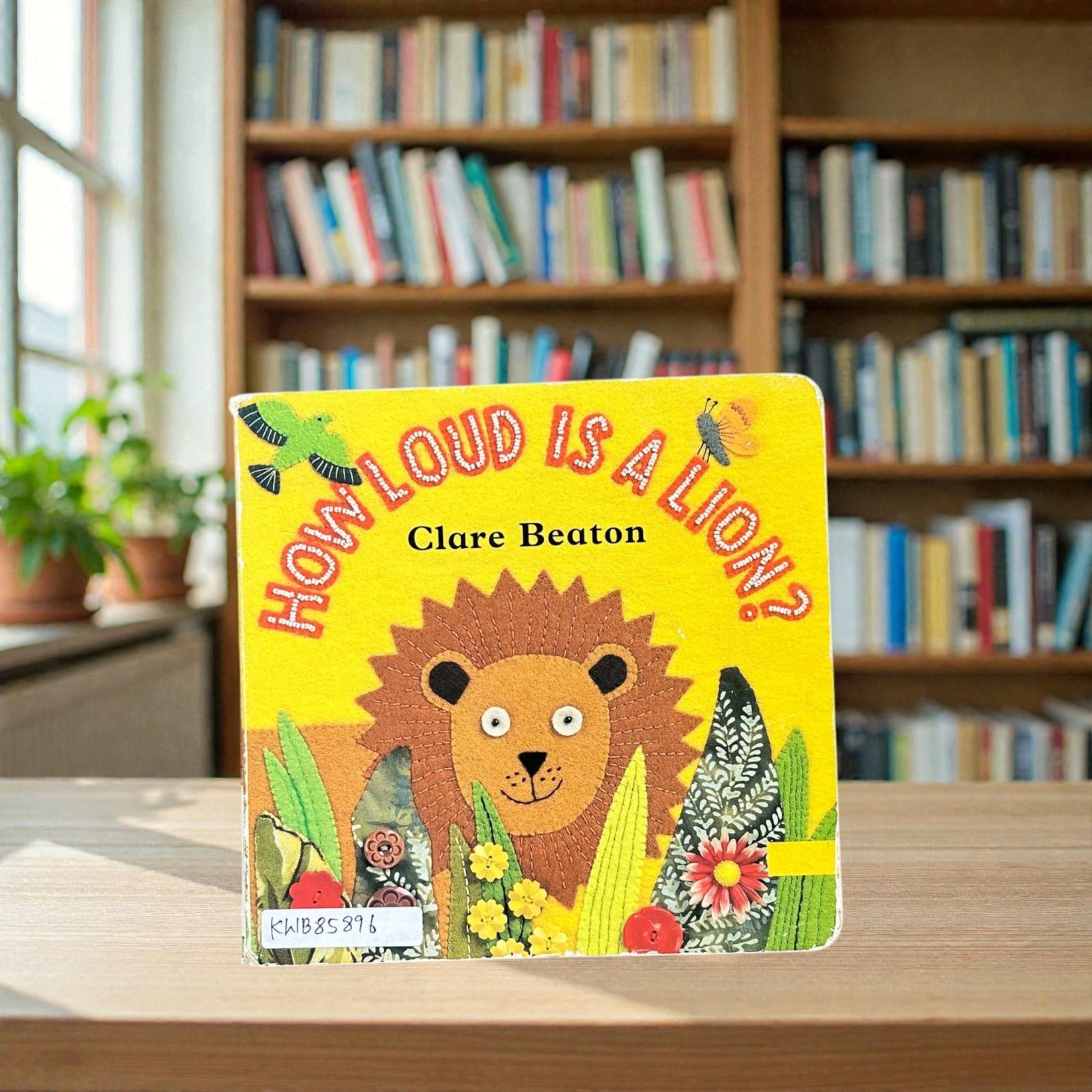 How Loud Is Lion_Clare Beaton_KWB85896