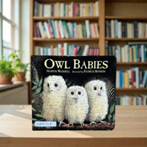 Owl Babies_Walker Books_KWB85928
